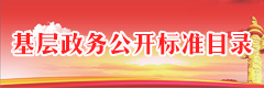 基層政務(wù)公開(kāi)事項標準目錄